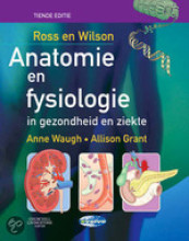 Afbeelding van boekomslag
