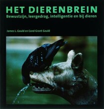Afbeelding van boekomslag