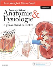 Samenvatting: Ross And Wilson Anatomie En Fysiologie In Gezondheid En Ziekte - E-Book | 9780702076237 | Anne Waugh, et al Afbeelding van boekomslag
