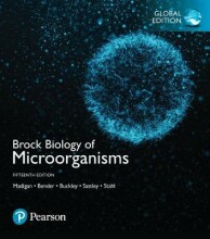 Summary: Brock Biology Of Microorganisms, Global Edition | 9781292235103 | Michael T Madigan, et al Book cover image
