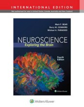 Summary: Neuroscience Brain International Edition | 9781451109542 Book cover image