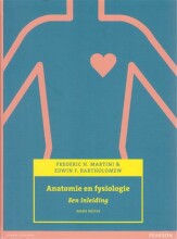 Afbeelding van boekomslag
