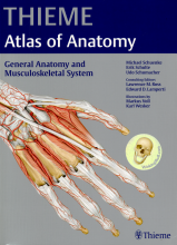 Summary: General Anatomy And Musculoskeletal System | 9781604062861 | Michael Schünke, et al Book cover image