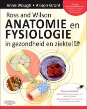 Afbeelding van boekomslag