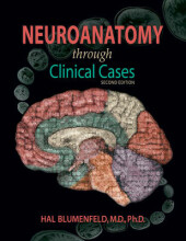 Samenvatting: Neuroanatomy Through Clinical Cases | 9780878930586 | Hal Blumenfeld Afbeelding van boekomslag
