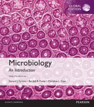 Samenvatting: Microbiology: An Introduction, Global Edition | 9781292099156 | Gerard J Tortora, et al Afbeelding van boekomslag